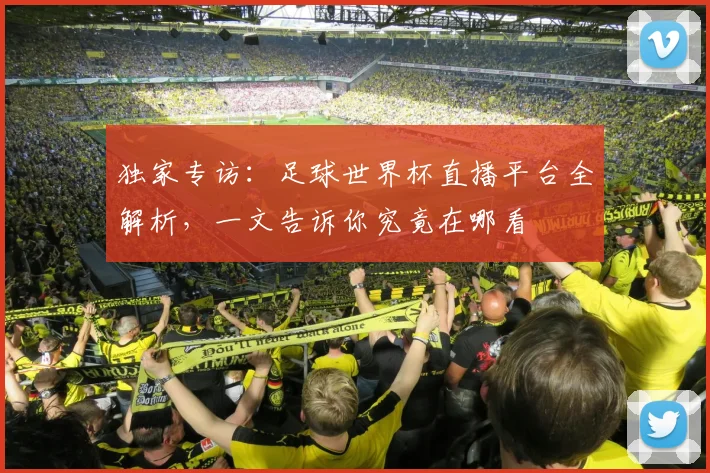 独家专访:足球世界杯直播平台全解析,一文告诉你究竟在哪看